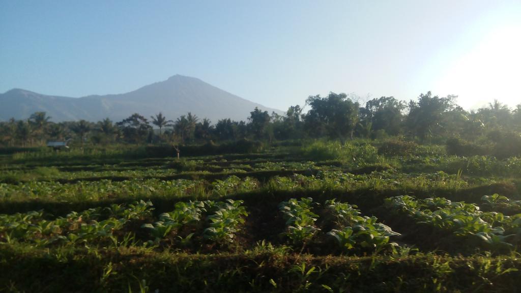 Tetebatu Indah Homestay Exterior foto