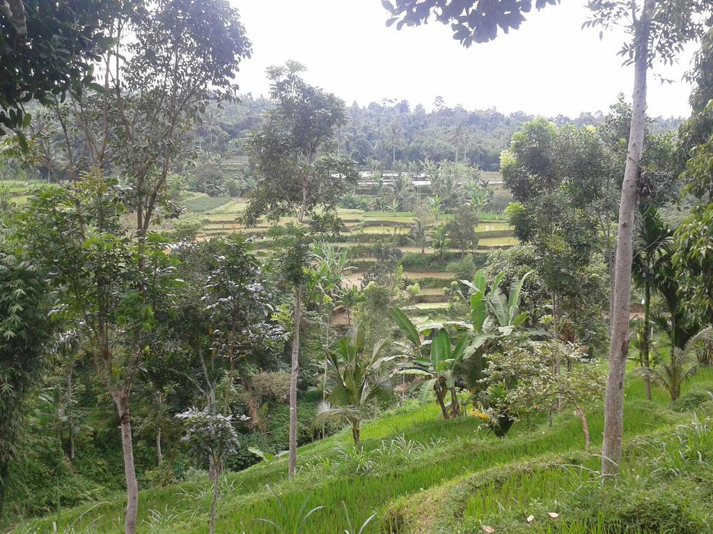 Tetebatu Indah Homestay Exterior foto